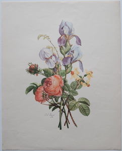 Vintage Prevost floral prints, roses, lilacs, poppy, Sidney Z Luca